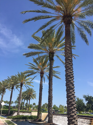 Computer Store «Apple Millenia», reviews and photos, 4200 Conroy Rd, Orlando, FL 32839, USA