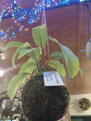 Garden Center «Riverview Tree & Landscaping, Inc.», reviews and photos, 3049 Pricetown Rd, Temple, PA 19560, USA