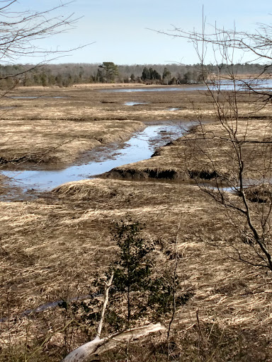 Nature Preserve «Maurice River Bluffs Preserve», reviews and photos, Silver Run Rd, Millville, NJ 08332, USA