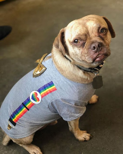 Beauty Salon «Mint Hair Crafting», reviews and photos, 510 S Center St, Royal Oak, MI 48067, USA