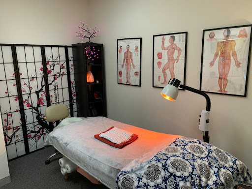 Dr. James Acupuncture image