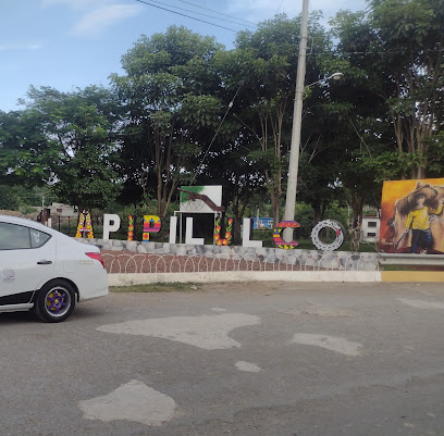 Apipilulco