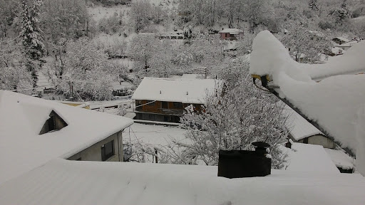 Yalova Elmalik Koy