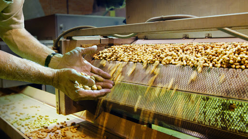 Food processing equipment Mesquite