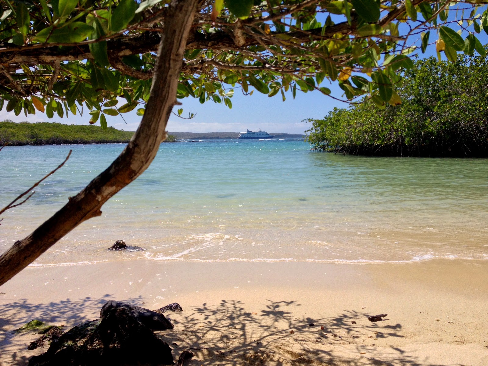 Foto de Playa los alemanes com alto nível de limpeza