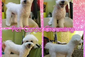 PET CODE Pet Shop & Grooming Κομμωτήριο σκύλων Σχολή κομμωτικής Σεμινάρια Pet Grooming Μαθήματα Pet Grooming image