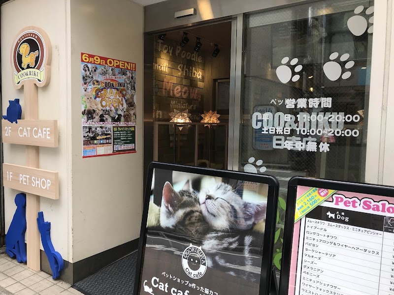 猫喫茶 空陸家 日吉店