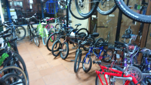 Bike Zona