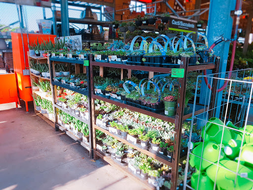 Home Improvement Store «The Home Depot», reviews and photos, 909 W McDermott Dr, Allen, TX 75013, USA