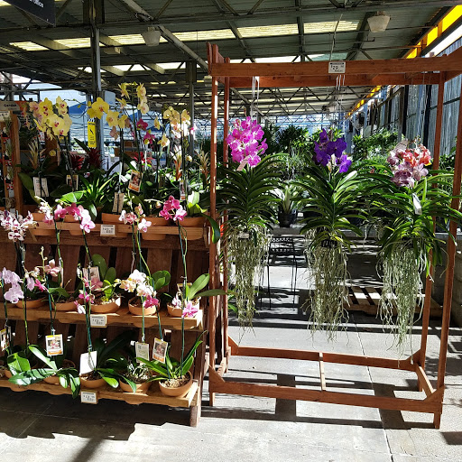 Home Improvement Store «The Home Depot», reviews and photos, 4560 13th St, St Cloud, FL 34769, USA