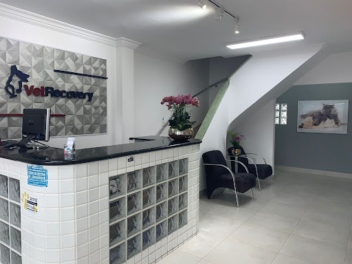 VetRecovery em São Paulo - SP