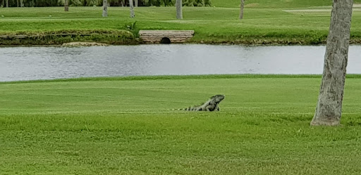 Public Golf Course «Crandon Golf at Key Biscayne», reviews and photos, 6700 Crandon Blvd, Key Biscayne, FL 33149, USA