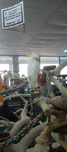 Pet Store «Leesburg Pet Center», reviews and photos, 959 N 14th St, Leesburg, FL 34748, USA