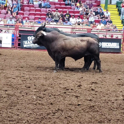 Tourist Attraction «Stockyards Championship Rodeo», reviews and photos, 121 E Exchange Ave, Fort Worth, TX 76164, USA