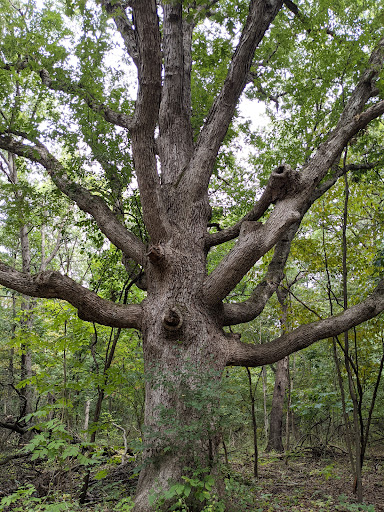 Nature Preserve «Cook County Forest Preserve», reviews and photos, 1700 N Quentin Rd, Palatine, IL 60074, USA