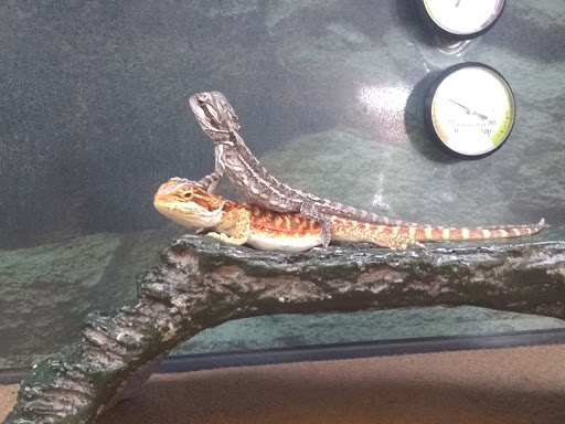 Pet Supply Store «Petco Animal Supplies», reviews and photos, 264 Dillon Ridge Way, Dillon, CO 80435, USA