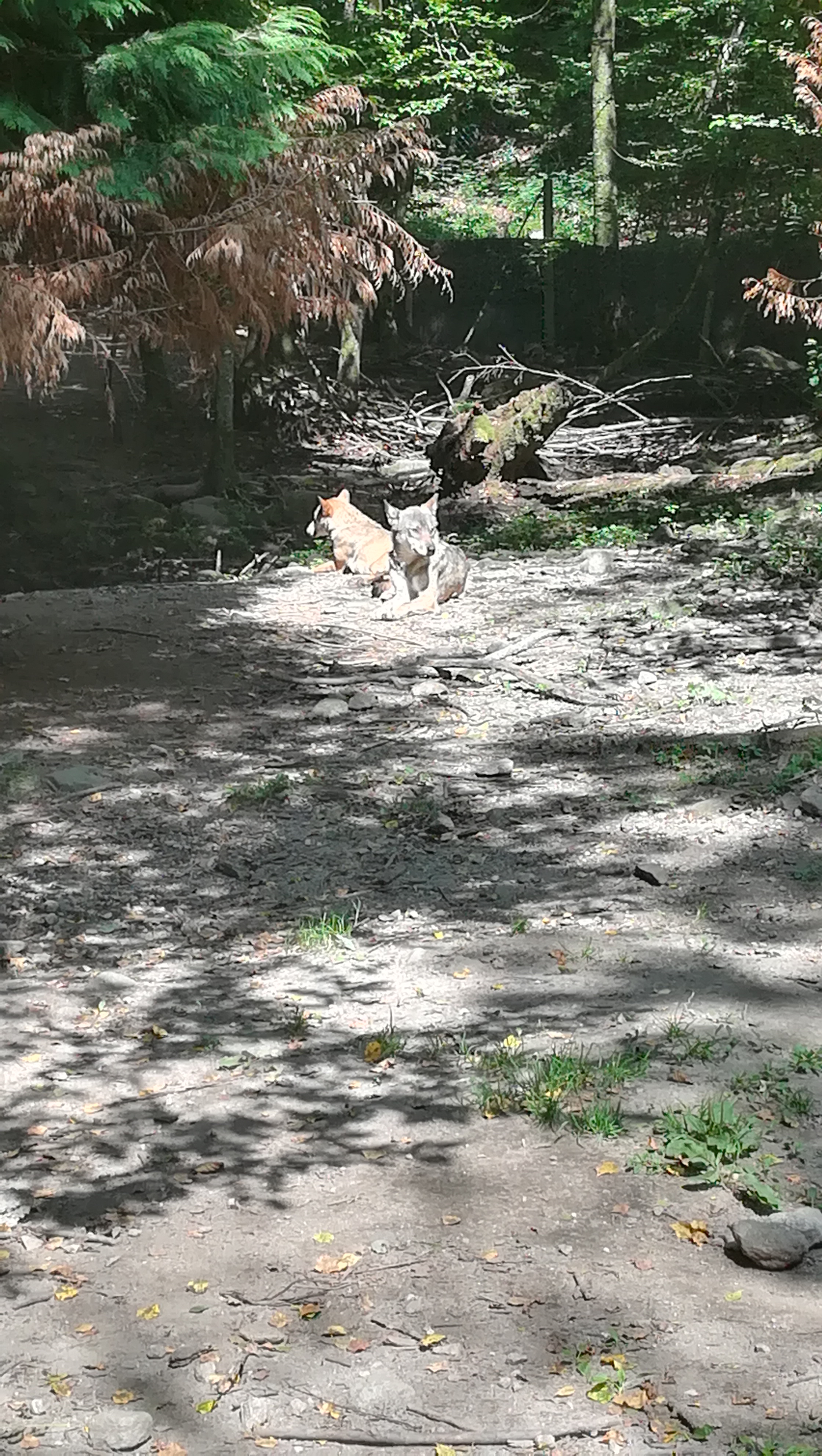 Photo n° 5 de l'avis de Melanie.a fait le 23/08/2018 à 08:47