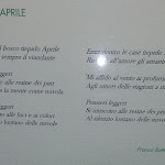 Photo n°3 de l'avis de Luca.u fait le 11/04/2023 à 12:43 sur le  Trattoria Canuleia à Lucca