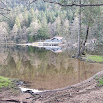 Photo n° 20 de l'avis de Evlein. fait le 04/03/2024 à 16:58 pour La Clairière à Xonrupt-Longemer