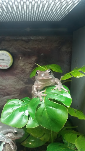 Pet Supply Store «Petco Animal Supplies», reviews and photos, 806 W Paradise Dr, West Bend, WI 53095, USA