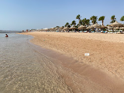 Foto von Sunny Beach mit lange, gerade küste