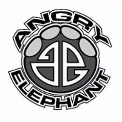 Tattoo Shop «Angry Elephant Tattoos», reviews and photos, 102 Pierce Christie Dr, Valrico, FL 33594, USA