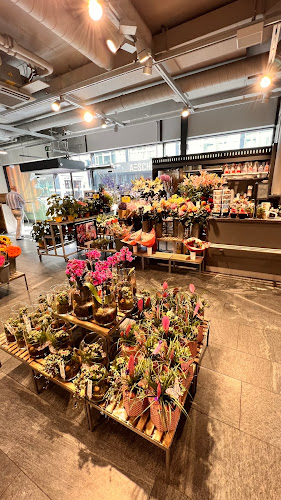 Rezensionen über Coop Supermarkt Basel Aeschenplatz in Basel - Supermarkt