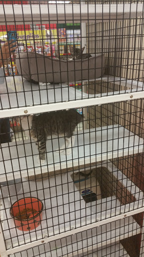 Pet Supply Store «Pet Supermarket», reviews and photos, 2449 S Hiawassee Rd, Orlando, FL 32835, USA