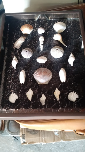 Auction House «Berners Auction, Inc.», reviews and photos, 1500 Jacobs Rd, DeLand, FL 32724, USA