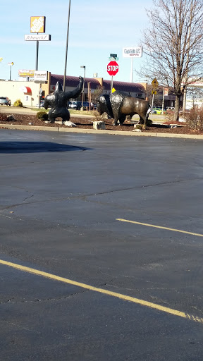 Grocery Store «Schnucks», reviews and photos, 1181 W Gannon Dr, Festus, MO 63028, USA