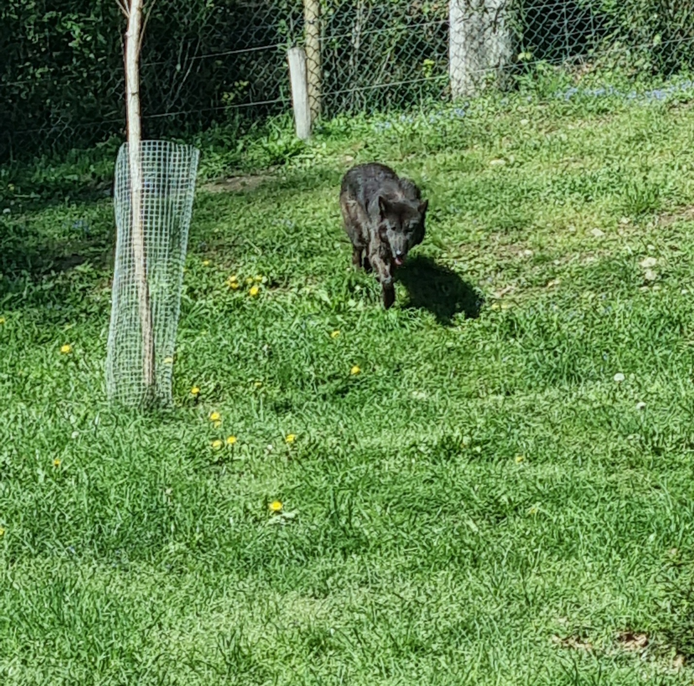 Photo n° 48 de l'avis de Anne.a fait le 25/04/2022 à 13:04