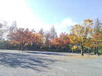 新松戸中央公園