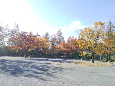 新松戸中央公園