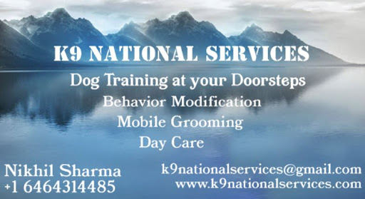 Optician «Harvey & Lewis Opticians», reviews and photos, 45 Asylum St, Hartford, CT 06103, USA