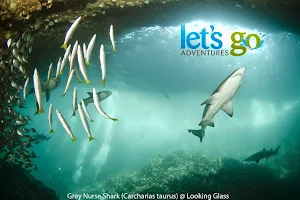 Lets Go Adventures - Dive Nelson Bay image