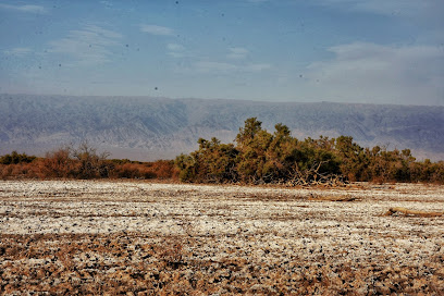 Lago salado