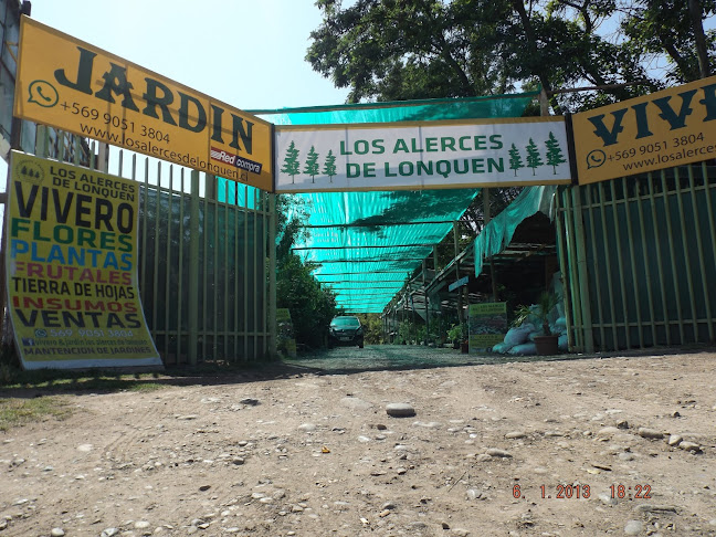 Vivero los alerces de lonquen