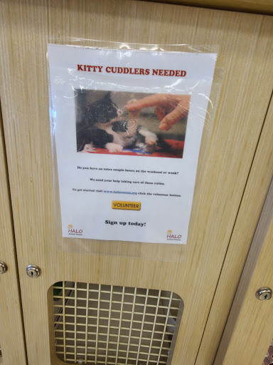 Pet Supply Store «Petco Animal Supplies», reviews and photos, 9480 W Northern Ave, Glendale, AZ 85305, USA