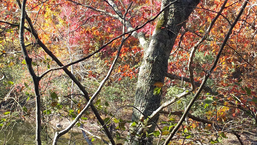 Wildlife Park «Charlie Elliott Wildlife Center», reviews and photos, 543 Elliott Trail, Mansfield, GA 30055, USA