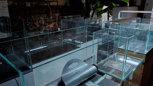 Tropical Fish Store «Aquastetics», reviews and photos, 354 E Main St, Fall River, MA 02724, USA