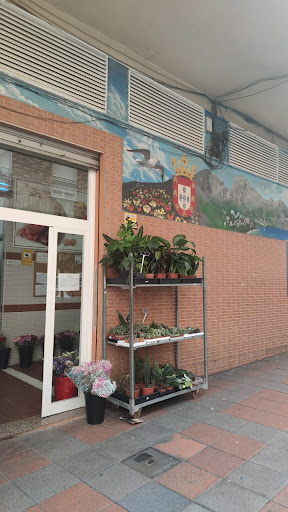 Clínica Veterinaria Real 90 en Ceuta