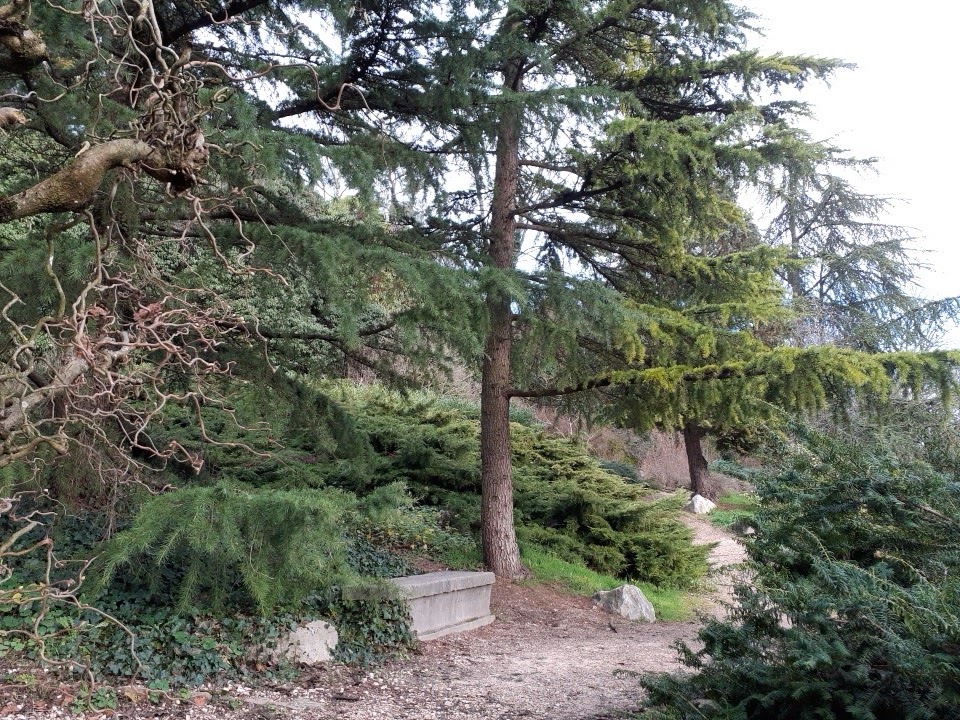 Photo n° 2 de l'avis de Christian.u fait le 19/12/2019 à 14:22