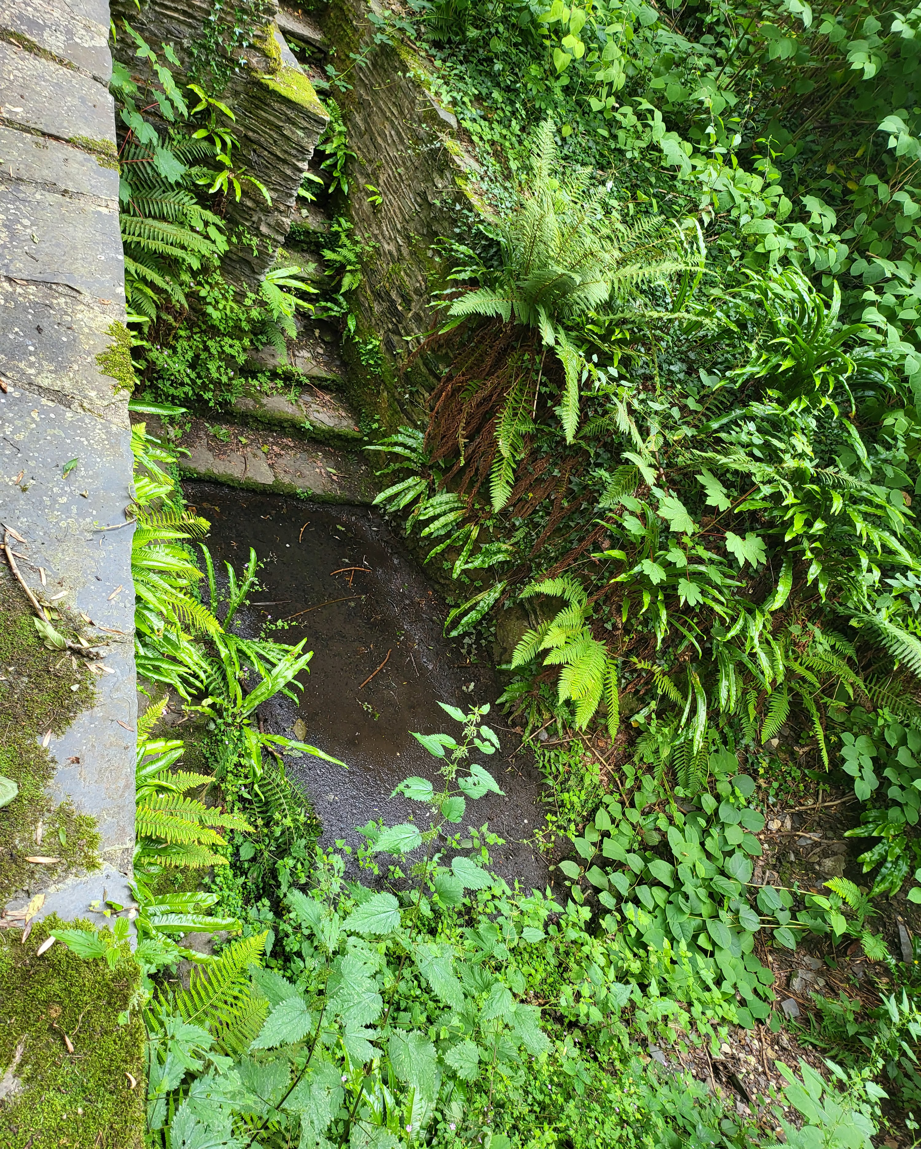 Photo n° 5 de l'avis de ludovic.a fait le 05/08/2023 à 05:51