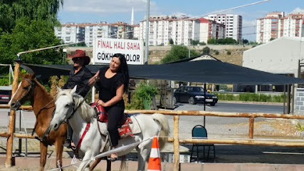 Sögüt ve domaniç at binişi