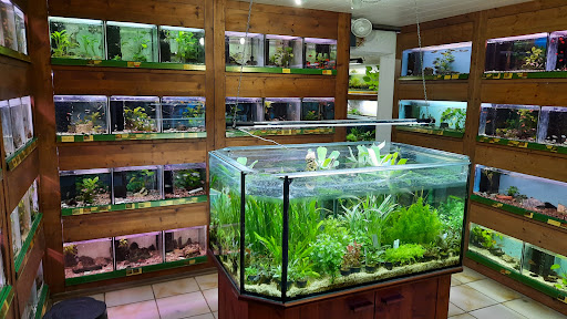 Aquarium Duscher unter Passau, 