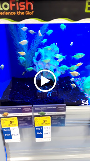 Pet Supply Store «PetSmart», reviews and photos, 1236 Greenbrier Pkwy, Chesapeake, VA 23320, USA