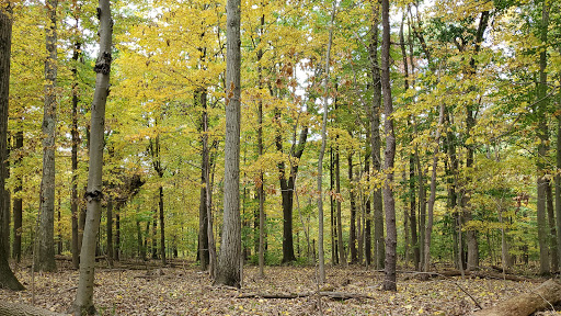 Wedding Venue «The Wadsworth Mansion at Long Hill», reviews and photos, 421 Wadsworth St, Middletown, CT 06457, USA