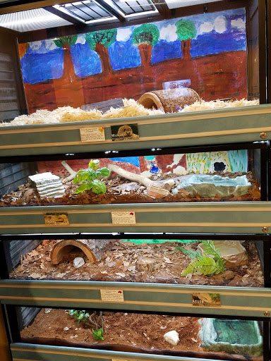 Zoo «Brevard Zoo», reviews and photos, 8225 N Wickham Rd, Melbourne, FL 32940, USA