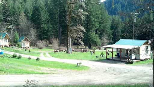 National Forest «Umpqua National Forest», reviews and photos, 1121 Houser Ct, Idleyld Park, OR 97447, USA
