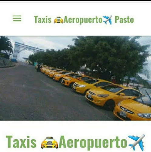 Comentarios y opiniones de Taxis 🚖 servicio aeropuerto✈️ Pasto